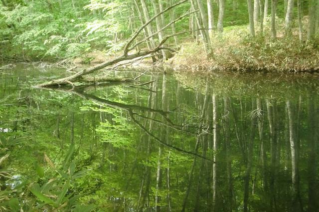 f0176370_1663431.jpg