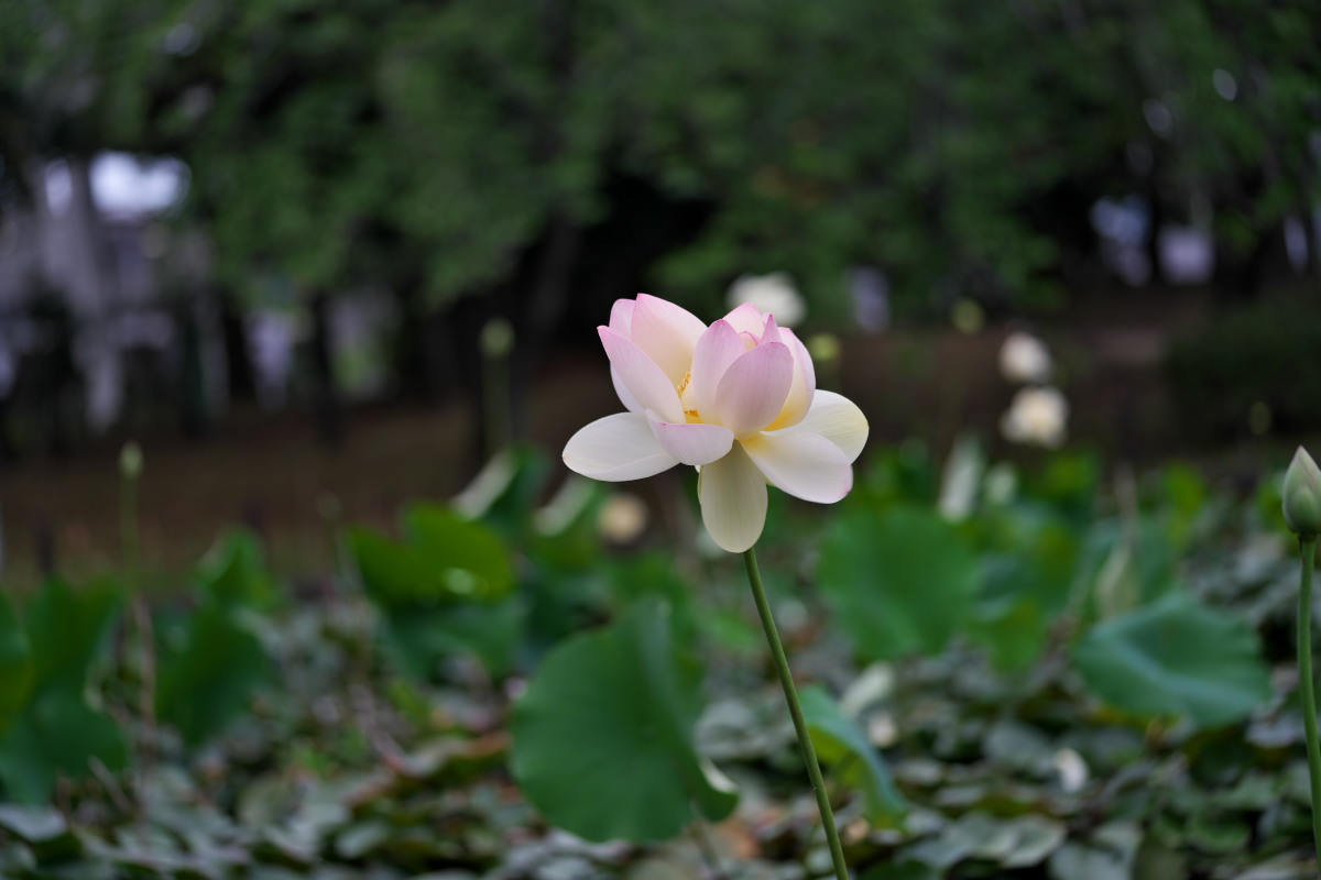 a0083081_14195834.jpg