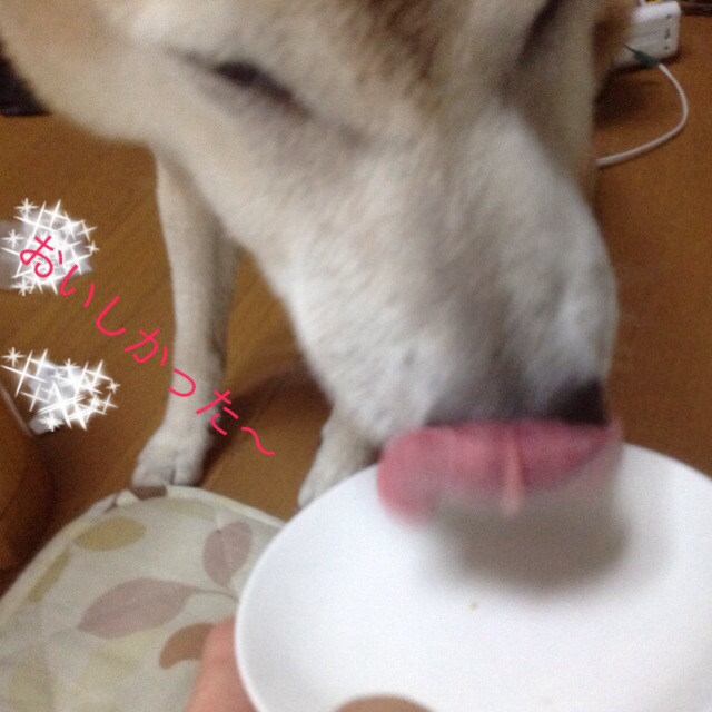 c0123890_207198.jpg