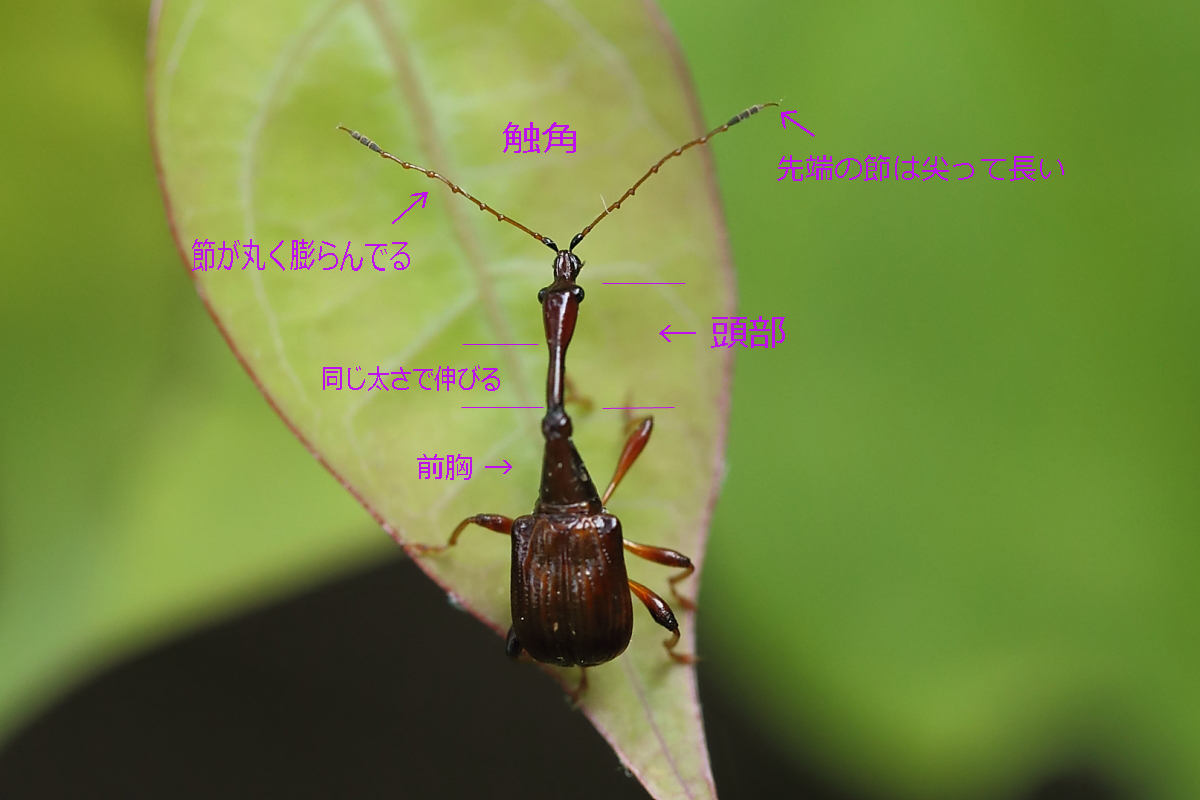 c0369491_21101520.jpg