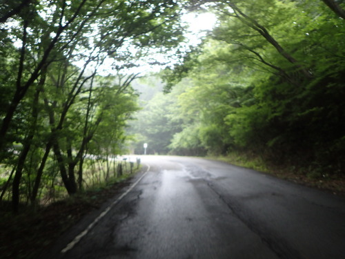 a0338094_05172360.jpg