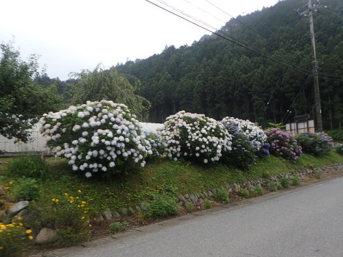 a0338094_21562475.jpg