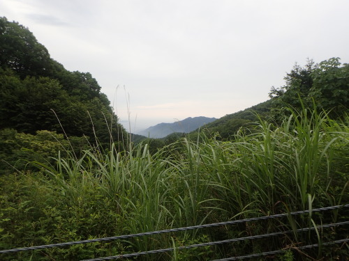 a0338094_21575240.jpg