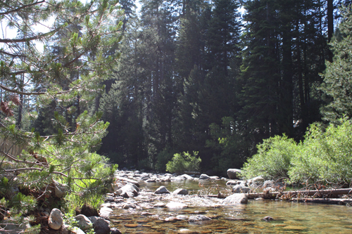 c0033994_421121.jpg