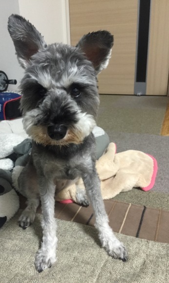 b0188998_22180256.jpeg