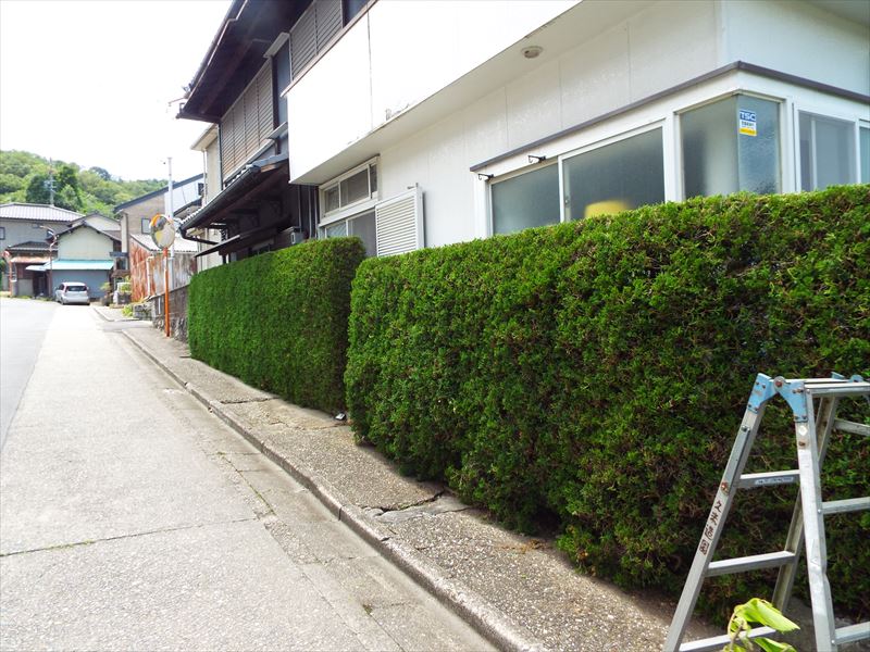 c0108198_16432677.jpg