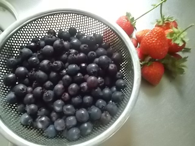 f0316507_21270416.jpg