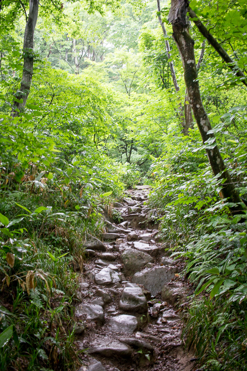 b0244811_22253265.jpg