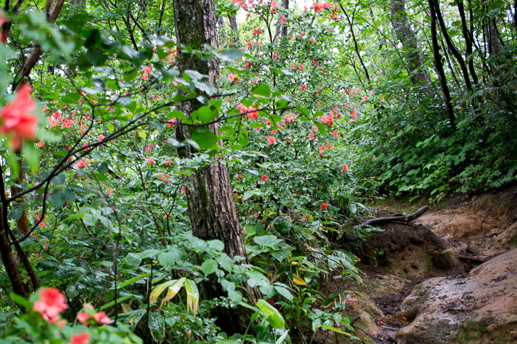 b0244811_22255681.jpg