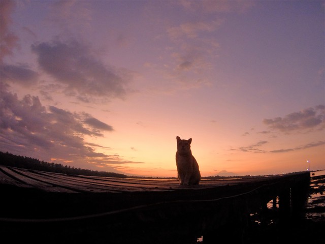 c0211615_125239.jpg