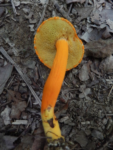 e0352220_14113346.jpg
