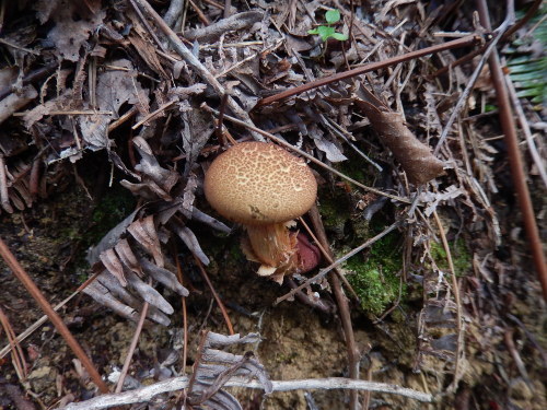 e0352220_14174020.jpg