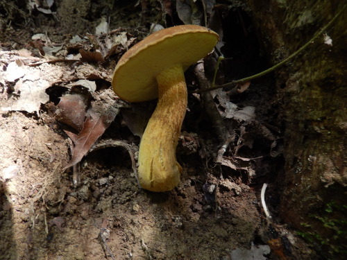 e0352220_14253543.jpg
