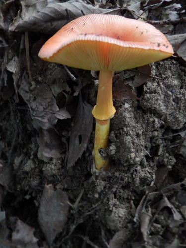 e0352220_14342884.jpg