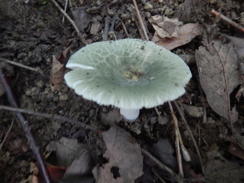 e0352220_14374377.jpg
