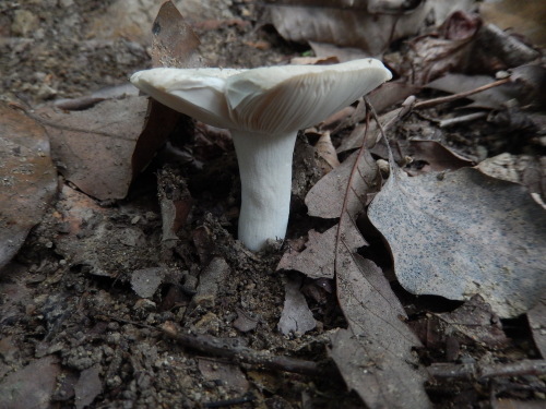 e0352220_14472799.jpg