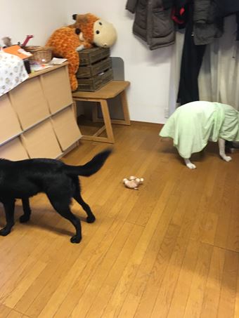 c0114121_0333693.jpg
