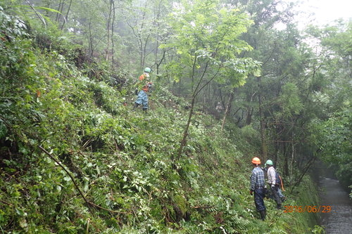 e0138321_112049.jpg