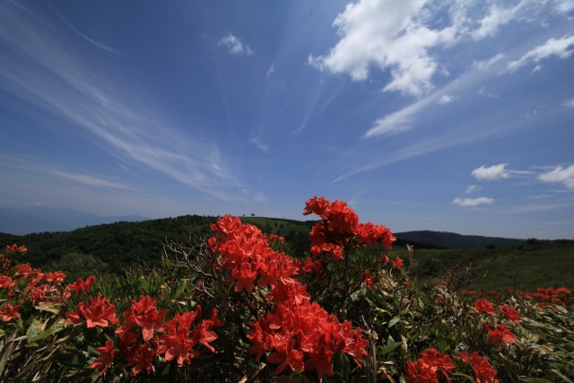 e0242721_794854.jpg