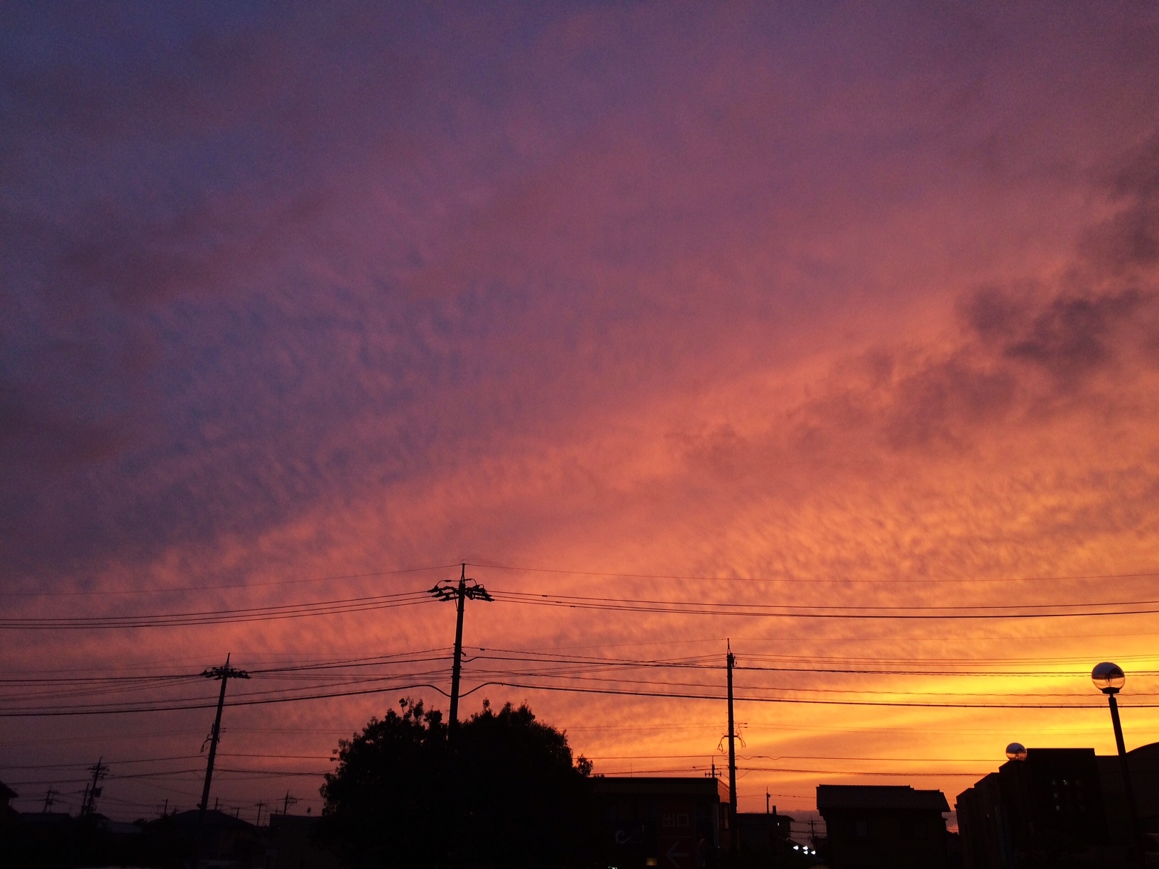 e0290331_22402256.jpg