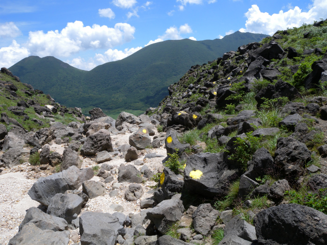 e0272335_5421423.jpg