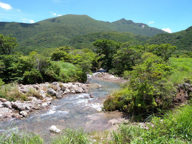 e0272335_8343726.jpg
