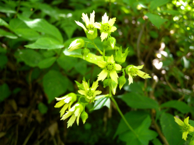 e0272335_8594046.jpg