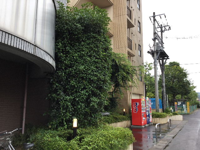f0031037_192814100.jpg