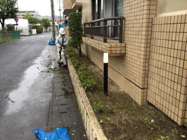 f0031037_19385340.jpg