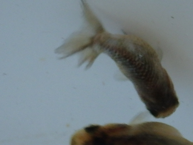 f0334143_18462884.jpg