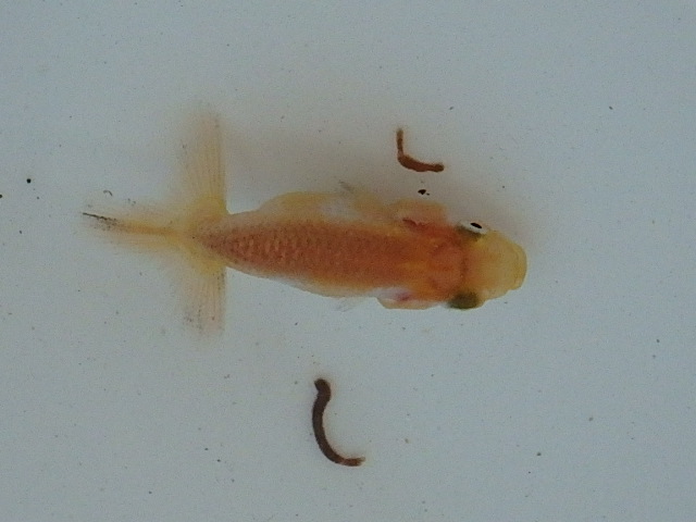 f0334143_18473497.jpg