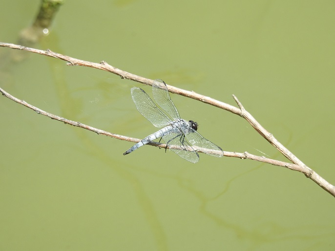 a0237349_168431.jpg