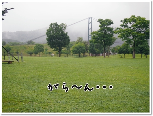 d0013149_23494863.jpg
