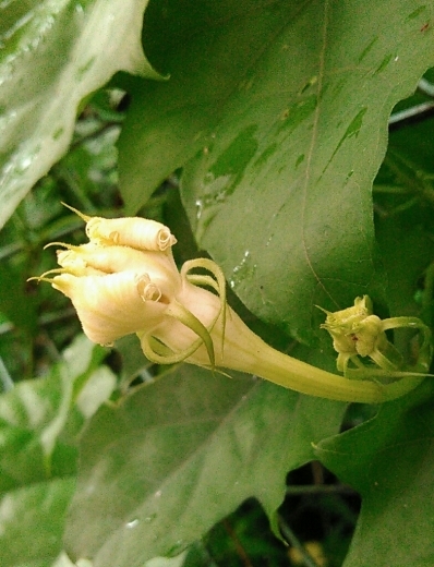 a0018655_10475838.jpg