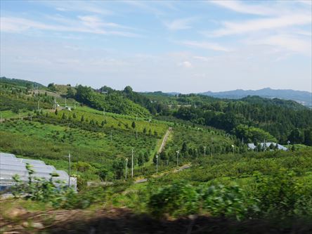 e0044657_234499.jpg
