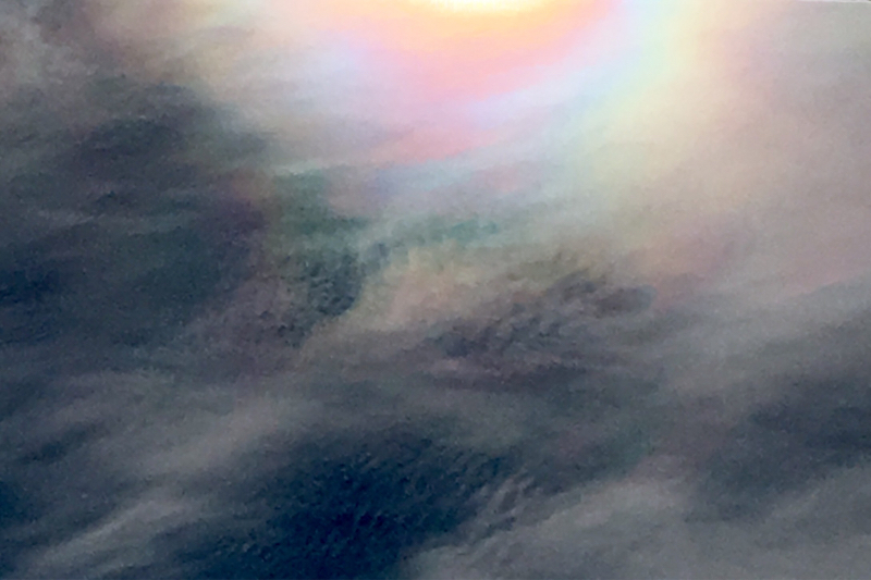 a0226258_21050859.jpg