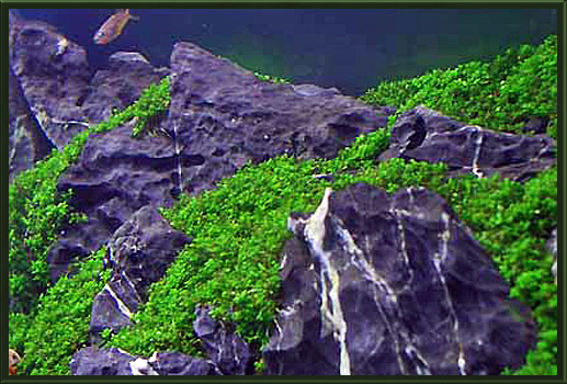 c0218063_21342360.jpg