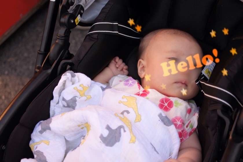 a0295764_08152036.jpeg