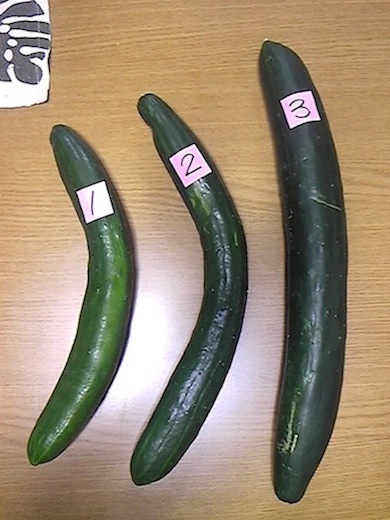 c0077465_11315806.jpg