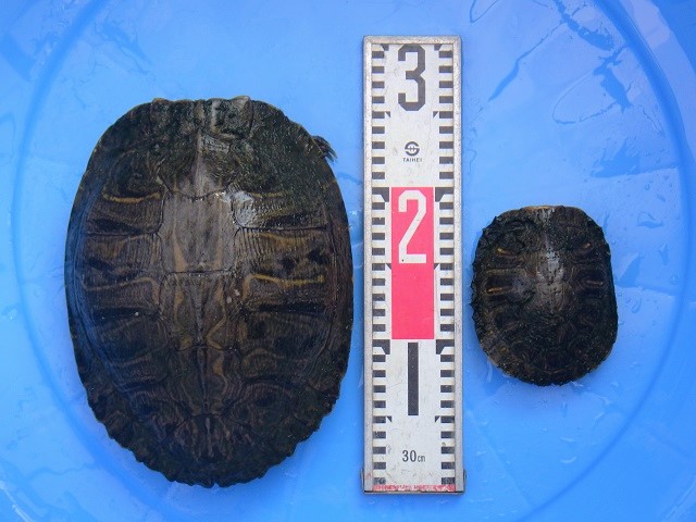 c0105569_0441490.jpg
