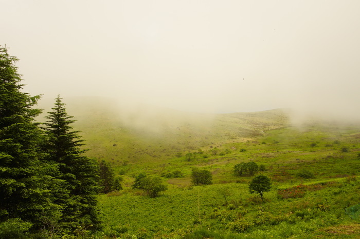 e0307372_21344407.jpg