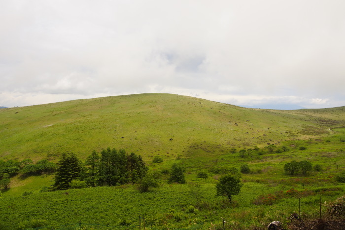 e0307372_21511140.jpg