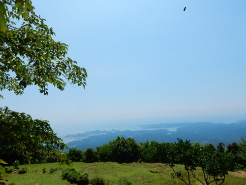 f0054677_08493048.jpg