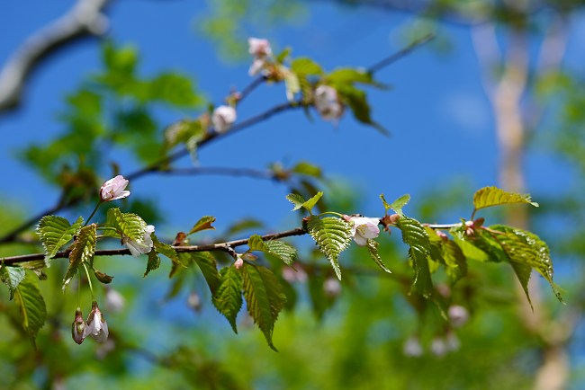 d0341880_7105410.jpg