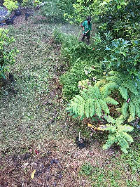 d0258487_09012146.jpg
