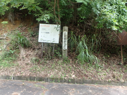 a0338094_21483658.jpg
