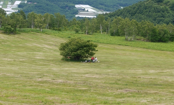 d0117001_19185208.jpg