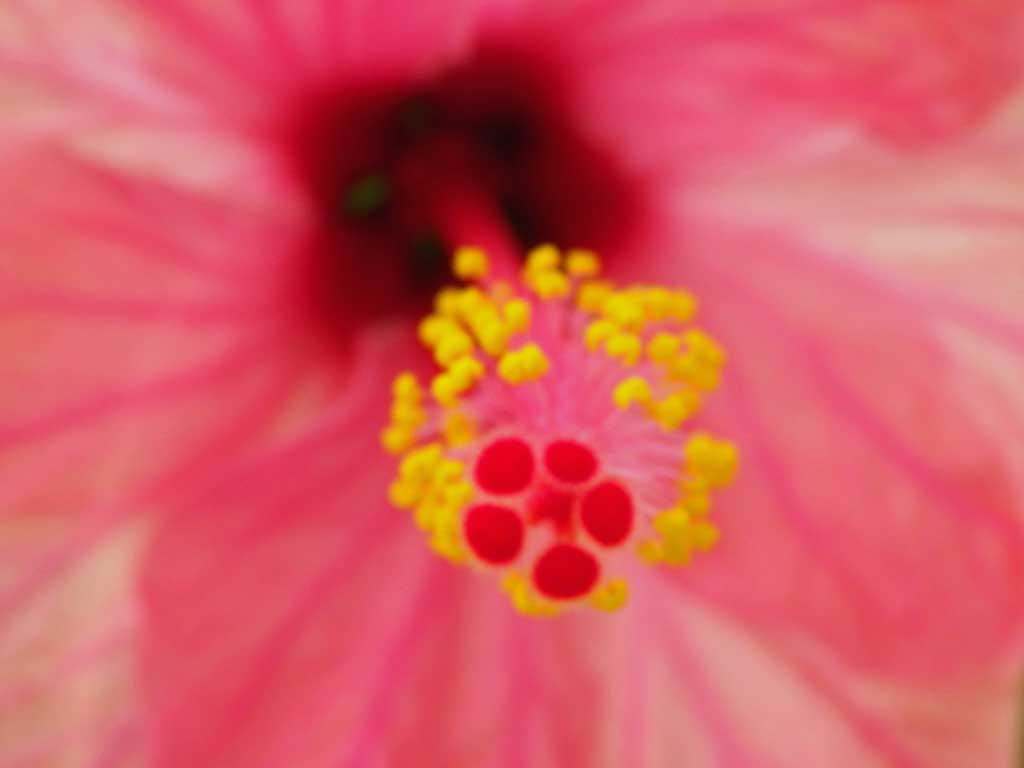b0254706_10545244.jpg