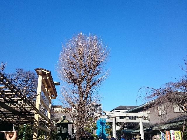 a0160407_2035311.jpg