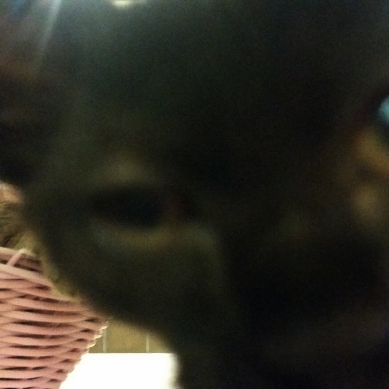 e0144012_16034616.jpeg